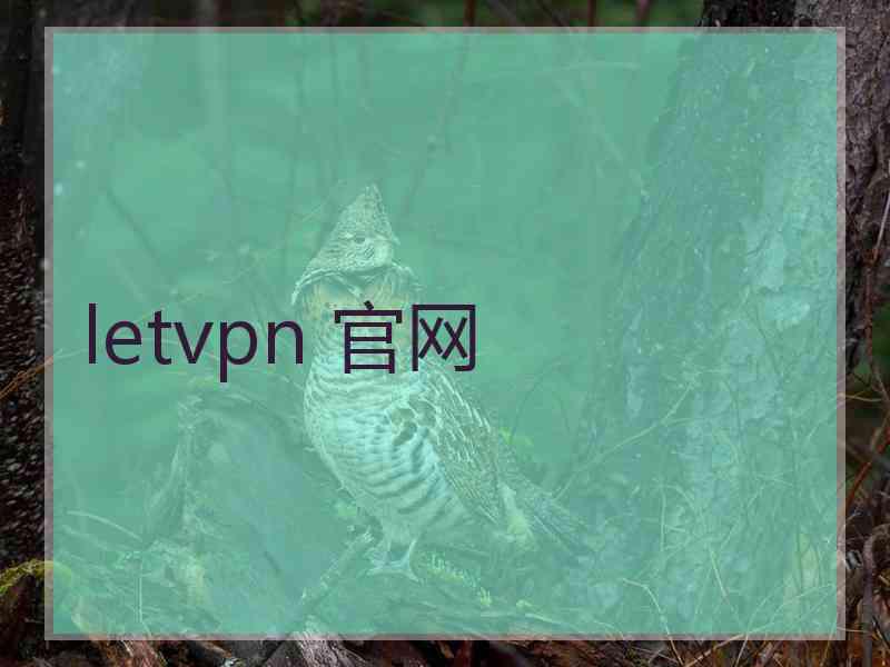 letvpn 官网
