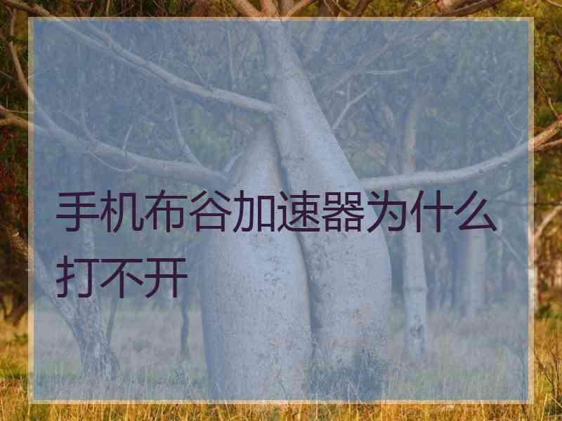 手机布谷加速器为什么打不开