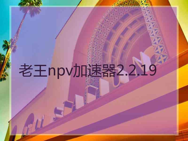 老王npv加速器2.2.19