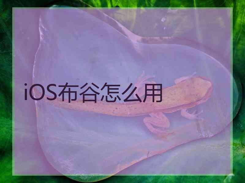 iOS布谷怎么用