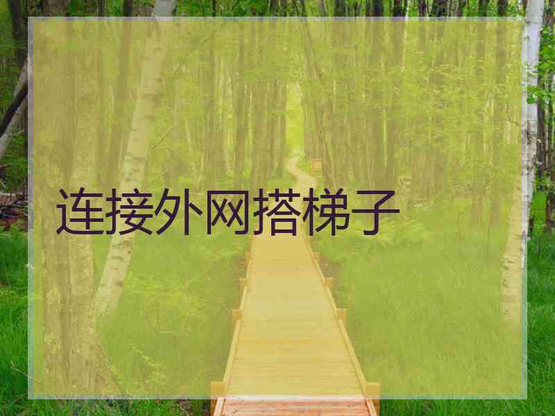 连接外网搭梯子