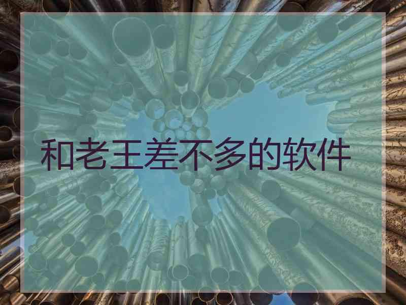 和老王差不多的软件