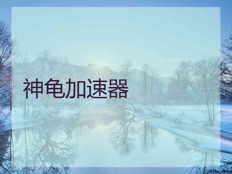 神龟加速器