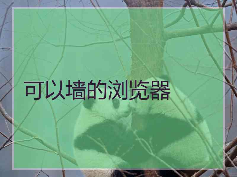 可以墙的浏览器