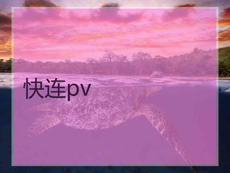 快连pv