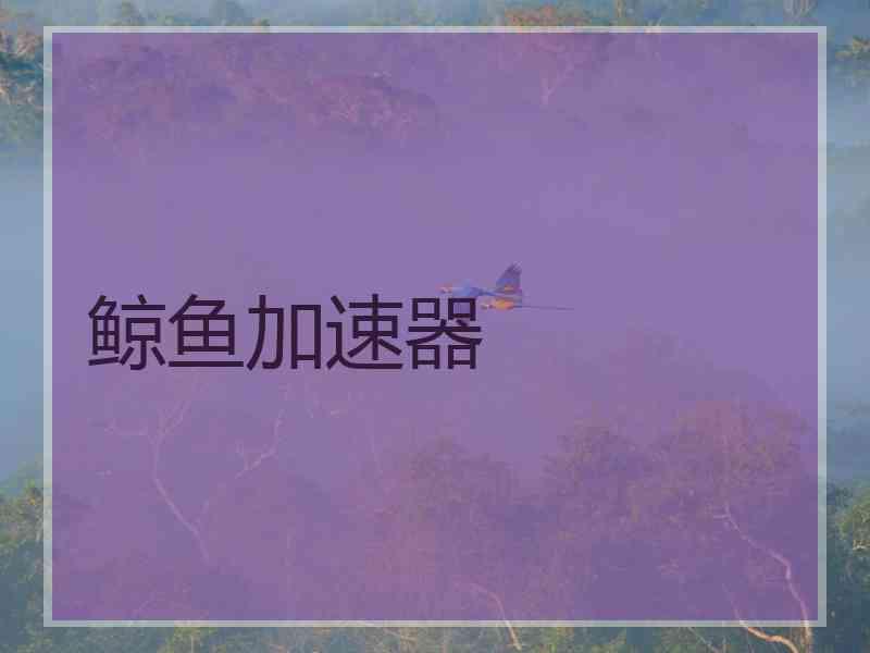 鲸鱼加速器