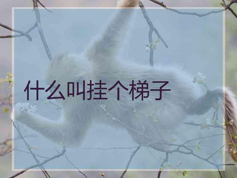 什么叫挂个梯子