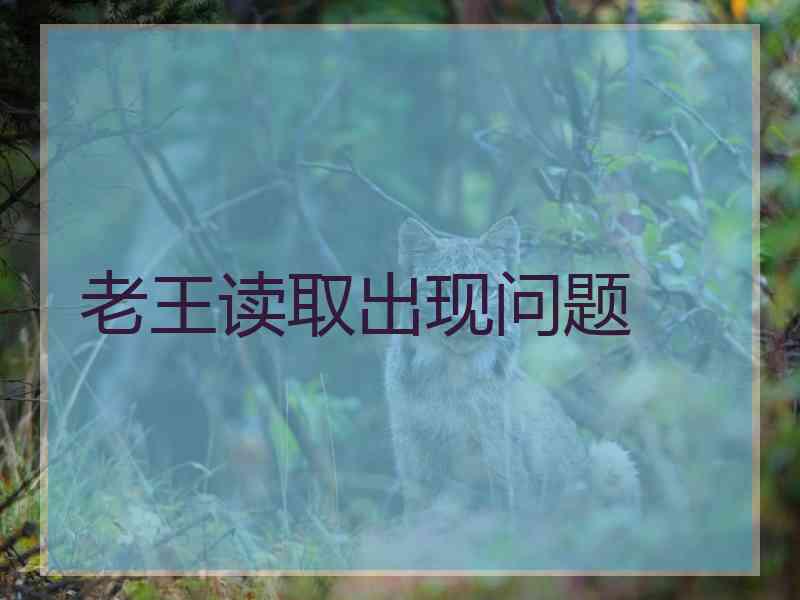 老王读取出现问题