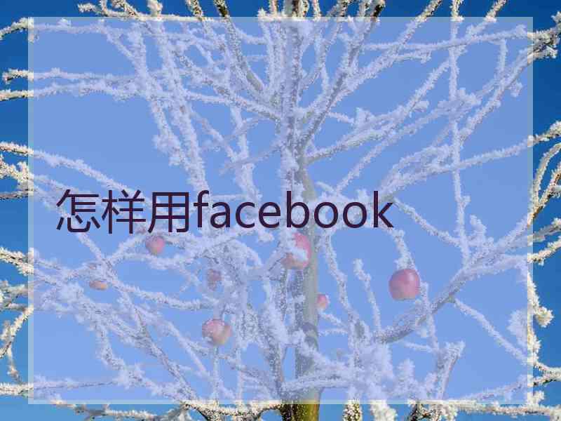 怎样用facebook