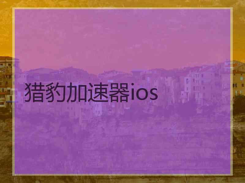 猎豹加速器ios