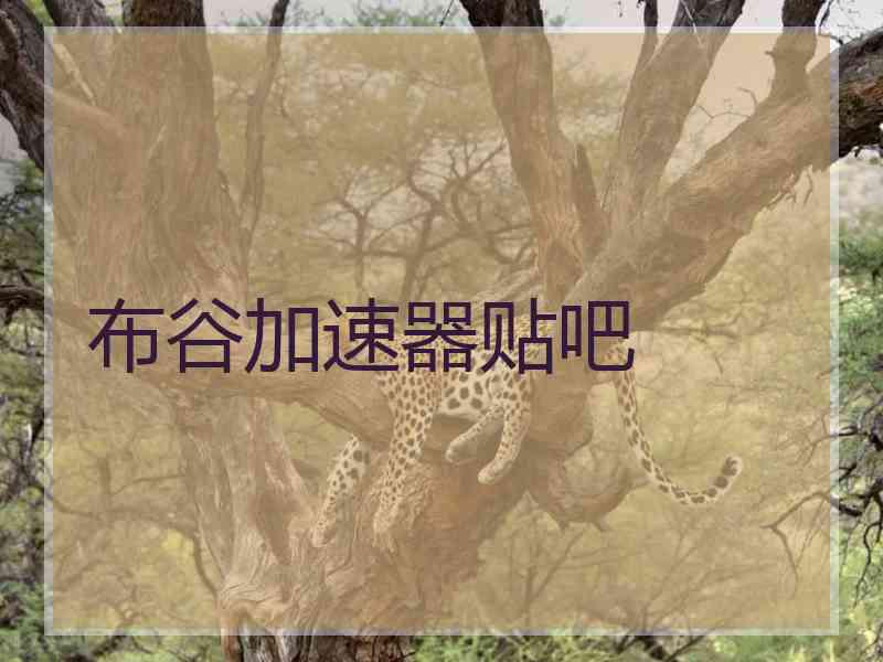 布谷加速器贴吧