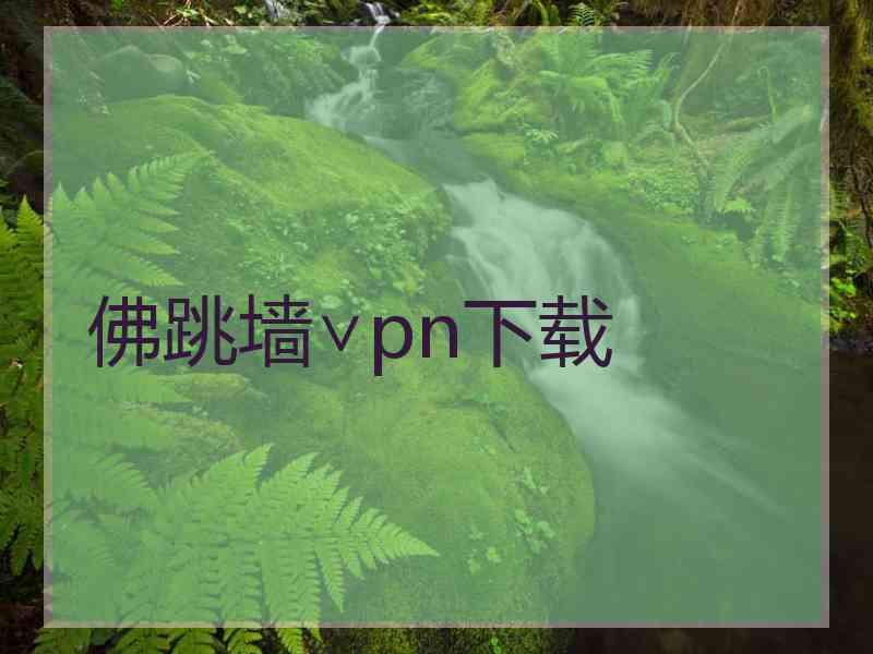 佛跳墙∨pn下载