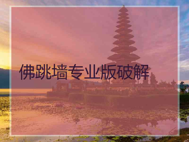 佛跳墙专业版破解