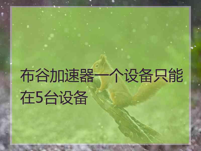 布谷加速器一个设备只能在5台设备