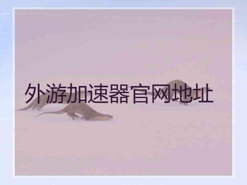 外游加速器官网地址