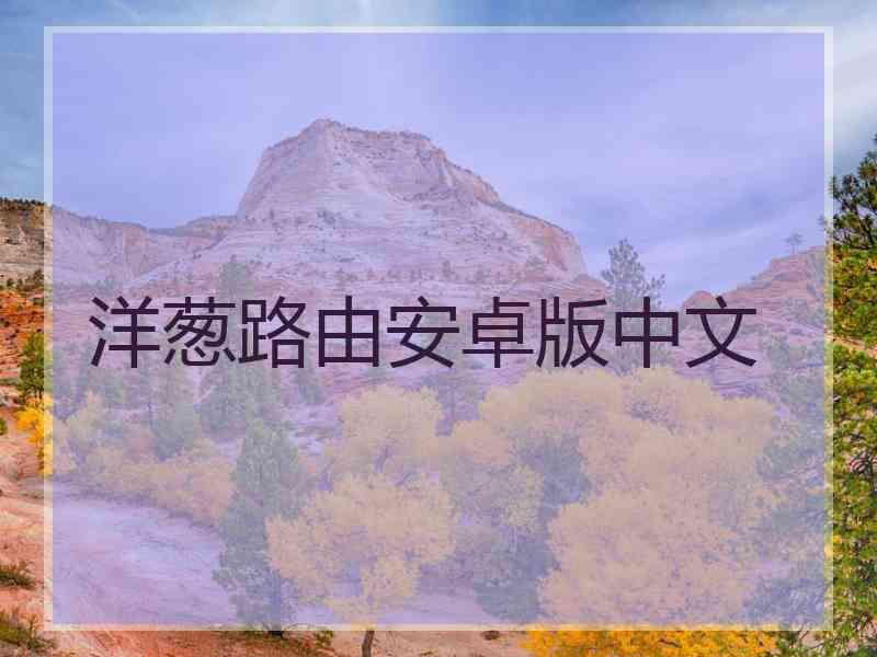 洋葱路由安卓版中文