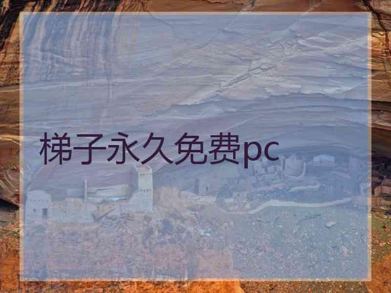 梯子永久免费pc