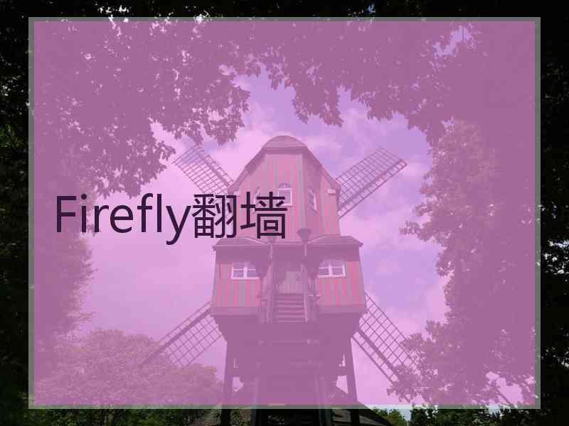Firefly翻墙